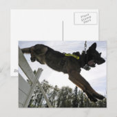 Deutsche Schäferpolizei Postkarte (Vorne/Hinten)