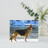 Deutsche Schäferpostkarte Postkarte (Stehend Vorderseite)