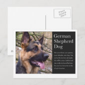 Deutsche Schäferpostkarte Postkarte (Vorne/Hinten)