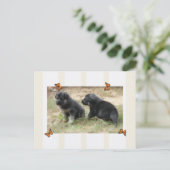 Deutsche Schäferpostkarte Postkarte (Stehend Vorderseite)