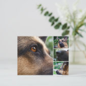 Deutsche Schäferpostkarte Postkarte (Stehend Vorderseite)