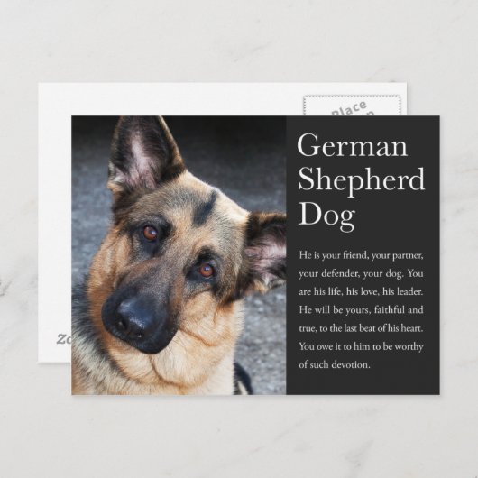 Deutsche Schäferpostkarte Postkarte (Vorne/Hinten)