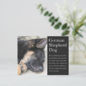 Deutsche Schäferpostkarte Postkarte (Stehend Vorderseite)