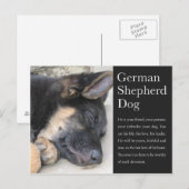 Deutsche Schäferpostkarte Postkarte (Vorne/Hinten)
