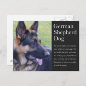 Deutsche Schäferpostkarte Postkarte (Vorne/Hinten)