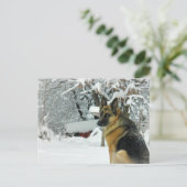 Deutsche Schäferpostkarte Postkarte (Stehend Vorderseite)