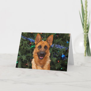Deutsche Schäferweihnachtskarte Feiertagskarte