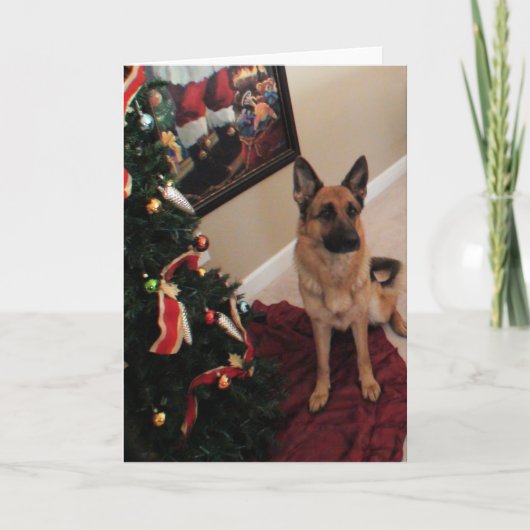 Deutsche Schäferweihnachtskarte Feiertagskarte (Vorderseite)