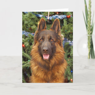 Deutsche Schäferweihnachtskarte Feiertagskarte