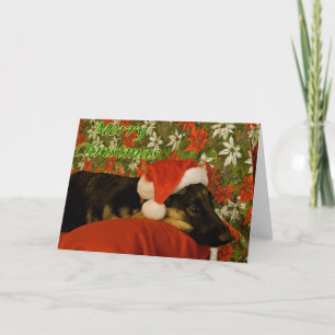 Deutsche Schäferweihnachtskarte II Feiertagskarte