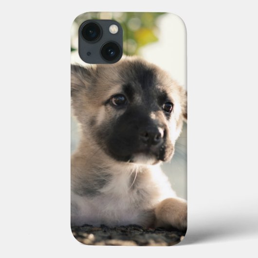 Deutsche Schäferwelpe über Lecke Case-Mate iPhone Hülle (Rückseite)