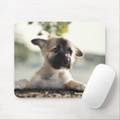 Deutsche Schäferwelpe über Lecke Mousepad (Mit Mouse)