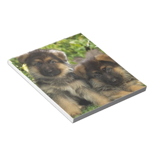 Deutsche Schäferwelpen Notizblock (angewinkelt)