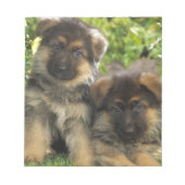 Deutsche Schäferwelpen Notizblock (Vorderseite)