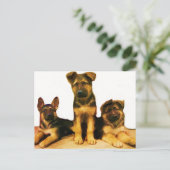 Deutsche Schäferwelpen Postkarte (Stehend Vorderseite)