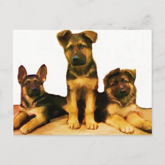Deutsche Schäferwelpen Postkarte (Vorderseite)