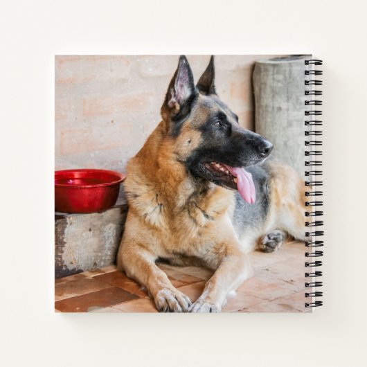 Deutsche Scheune durch Wasserbecken Notizblock (Rückseite)