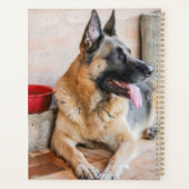 Deutsche Scheune durch Wasserbecken Planer (Rückseite)