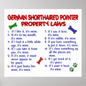 DEUTSCHE SCHORTHAIRED POINTER PL2 POSTER (Vorne)