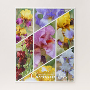 Deutsche Schwertlilie_01 [Jigsaw-Puzzle: 520 Teile Puzzle