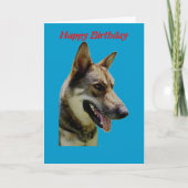 Deutsche Shepard Geburtstagskarte Karte (Vorderseite)