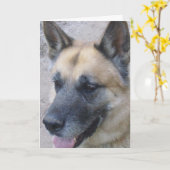 Deutsche Shepard Geburtstagskarte Karte (Gelbe Blume)