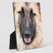 DEUTSCHE SHEPHERD DOG FOTOPLATTE (Seite)
