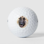 DEUTSCHE SHEPHERD DOG GOLFBALL (Vorderseite)