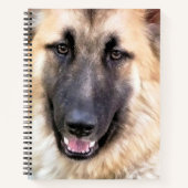 DEUTSCHE SHEPHERD DOG NOTIZBUCH (Vorderseite)