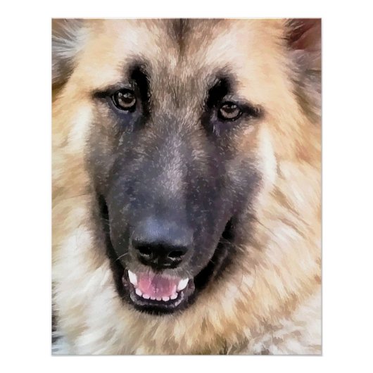 DEUTSCHE SHEPHERD DOG POSTER (Vorderseite)