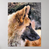 DEUTSCHE SHEPHERD DOG POSTER (Vorne)
