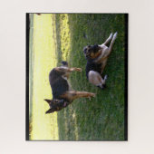 DEUTSCHE SHEPHERD DOG PUZZLE (Vertikal)