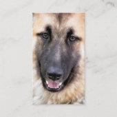 DEUTSCHE SHEPHERD DOG VISITENKARTE (Vorderseite)