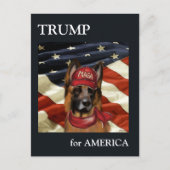 DEUTSCHE SHEPHERD FEIERTAGSPOSTKARTE (Vorderseite)