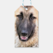 DEUTSCHE SHEPHERD GESCHENKANHÄNGER (Vorderseite)