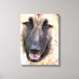 DEUTSCHE SHEPHERD LEINWANDDRUCK