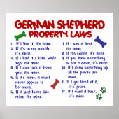 DEUTSCHE SHEPHERD PL2 POSTER (Vorne)