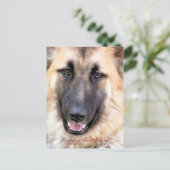 DEUTSCHE SHEPHERD POSTKARTE (Stehend Vorderseite)