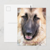 DEUTSCHE SHEPHERD POSTKARTE (Vorne/Hinten)