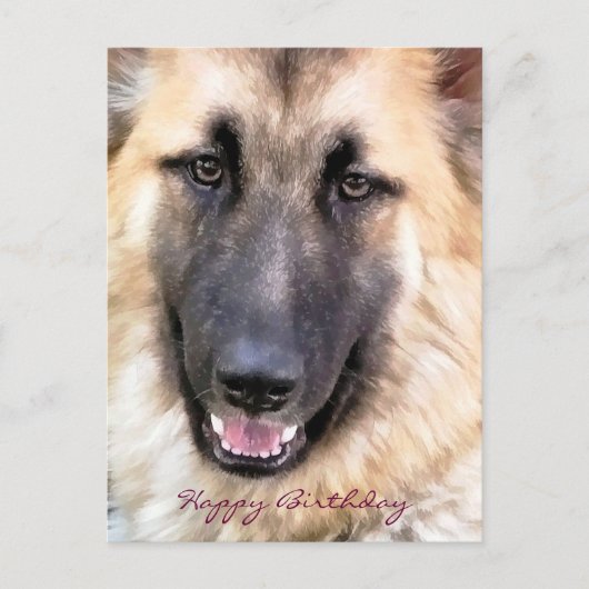 DEUTSCHE SHEPHERD POSTKARTE (Vorderseite)
