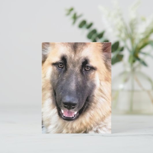 DEUTSCHE SHEPHERD POSTKARTE (Stehend Vorderseite)