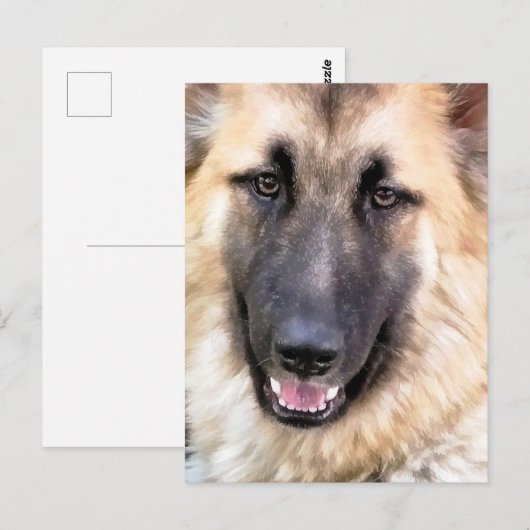 DEUTSCHE SHEPHERD POSTKARTE (Vorne/Hinten)