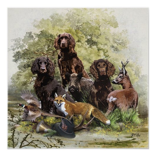 Deutsche Spaniels ( Deutscher Wachtelhund ) Poster (Vorderseite)