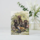 Deutsche Spaniels ( Deutscher Wachtelhund ) Postkarte (Stehend Vorderseite)