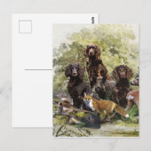 Deutsche Spaniels ( Deutscher Wachtelhund ) Postkarte (Vorne/Hinten)