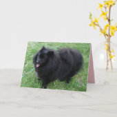 Deutsche Spitz Niedlich Black Spitz Hunde Karte (Gelbe Blume)