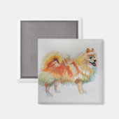 Deutsche Spitz Spitz Wasserfarbenwelse Hunde Magnet (Vorderseite/Rückseite)