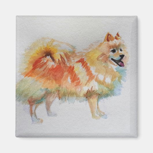 Deutsche Spitz Spitz Wasserfarbenwelse Hunde Magnet (Vorne)