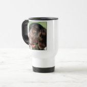 Deutsche Tasse des kurzhaarigen Zeigers (Vorderseite Links)