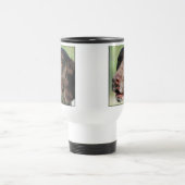 Deutsche Tasse des kurzhaarigen Zeigers (Mittel)